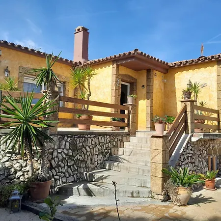 Ibiza *